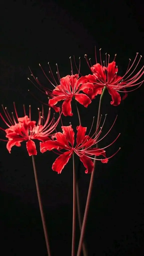 Ay parçası 🌜🌝💫 profil fotoğrafı