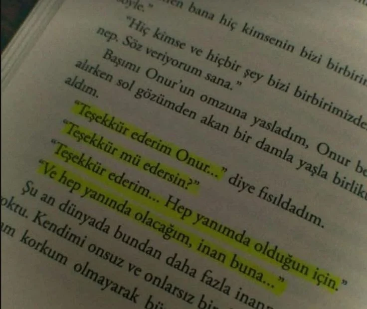 Lale Gulsoy profil fotoğrafı