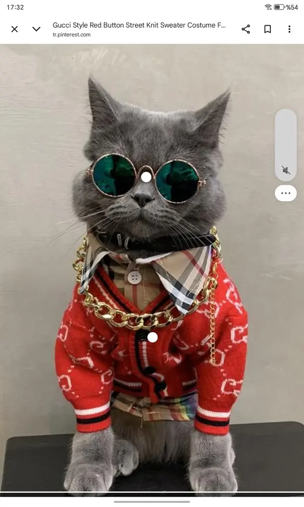 Nilgün Paksu profil fotoğrafı
