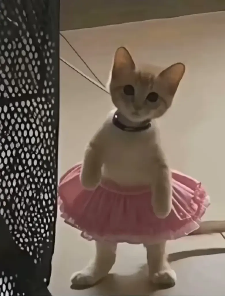 Aslı Çeviker profil fotoğrafı