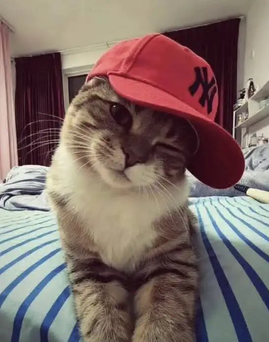 Duru ✯ profil fotoğrafı