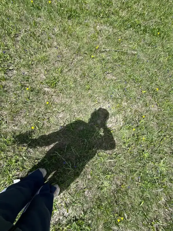 BeRiLoO BeRo profil fotoğrafı