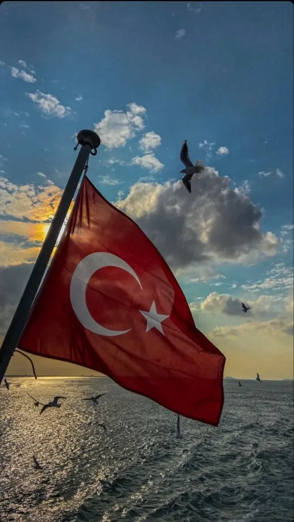 Adile Çetin profil fotoğrafı