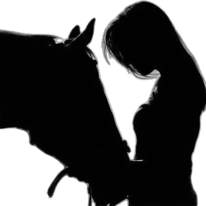 🏹🐴Gülsüm🐴🏹 . profil fotoğrafı