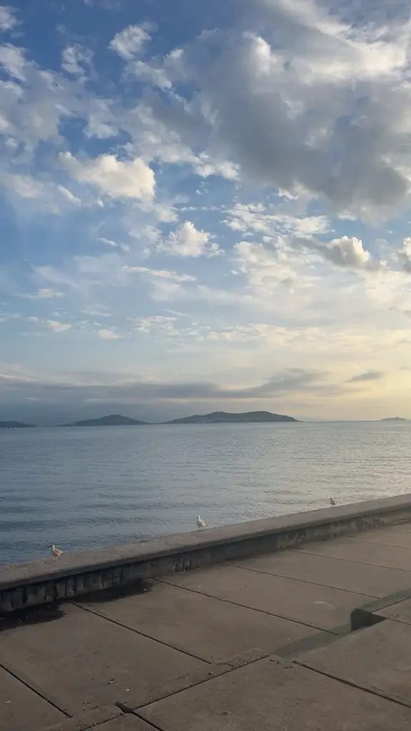 Nur Nur profil fotoğrafı
