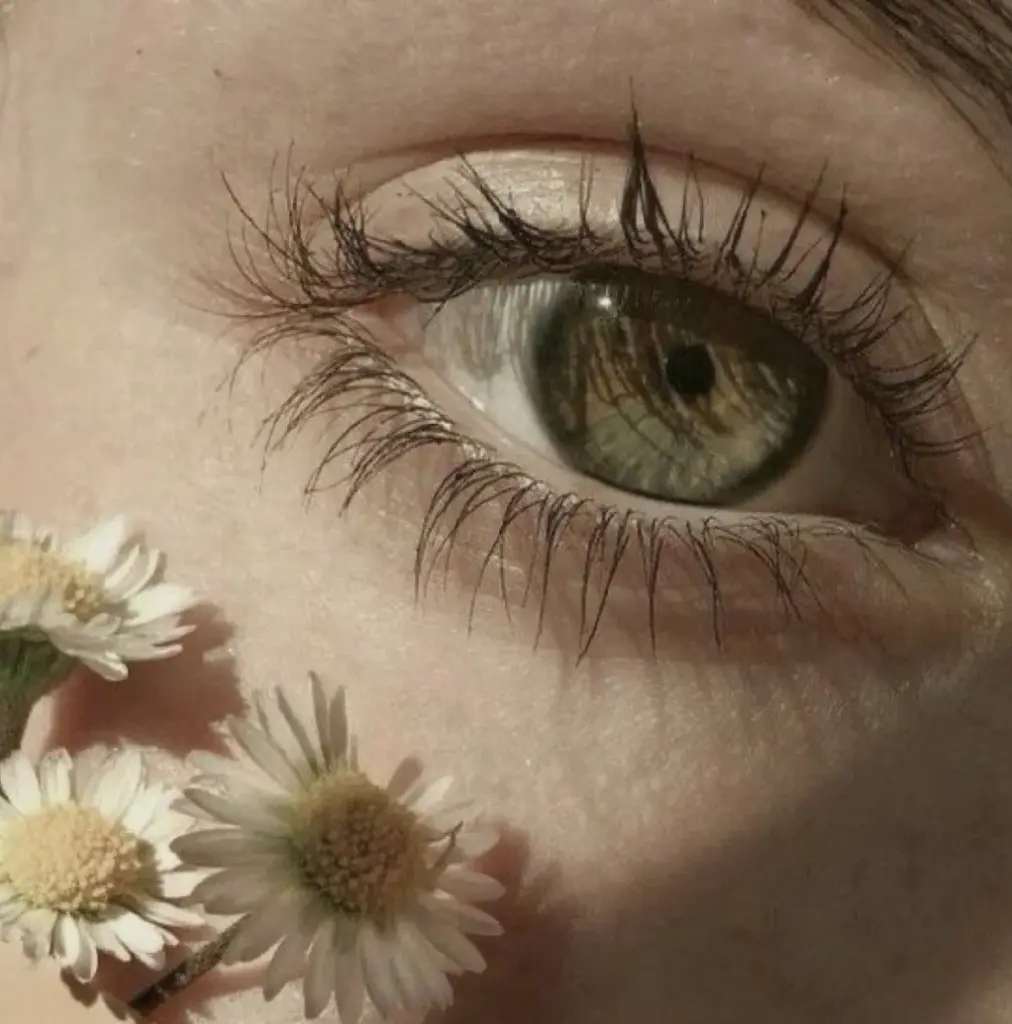 ~ Meloranız ~ profil fotoğrafı