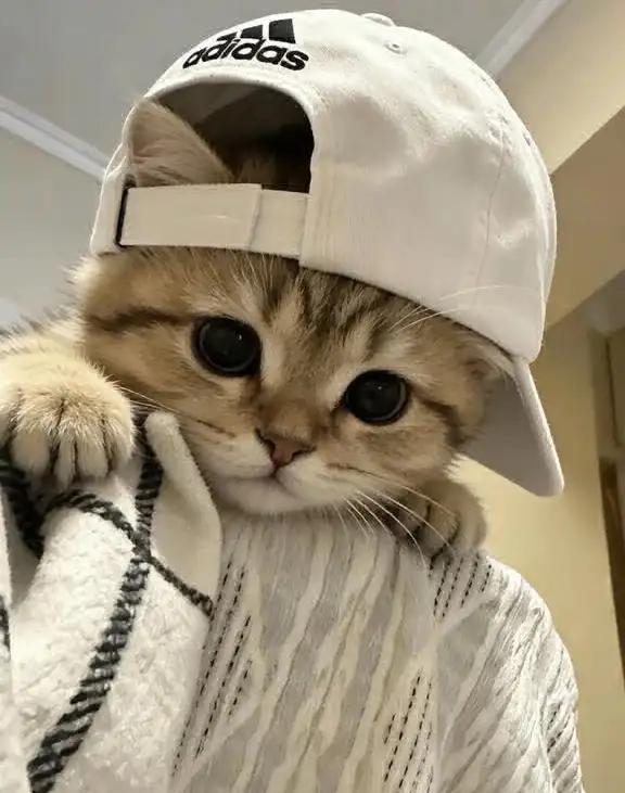 Bahar Bahar profil fotoğrafı