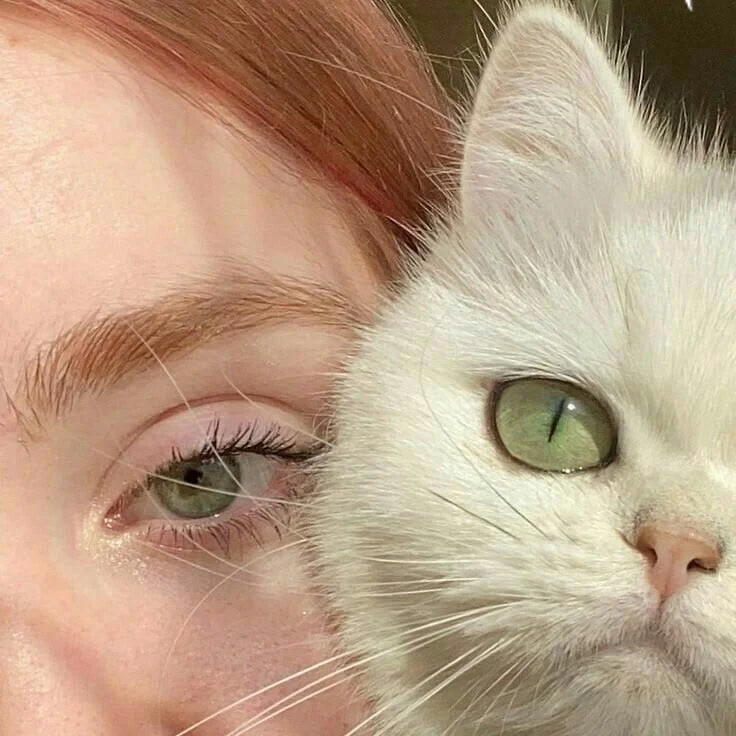 reyni ☔️ profil fotoğrafı