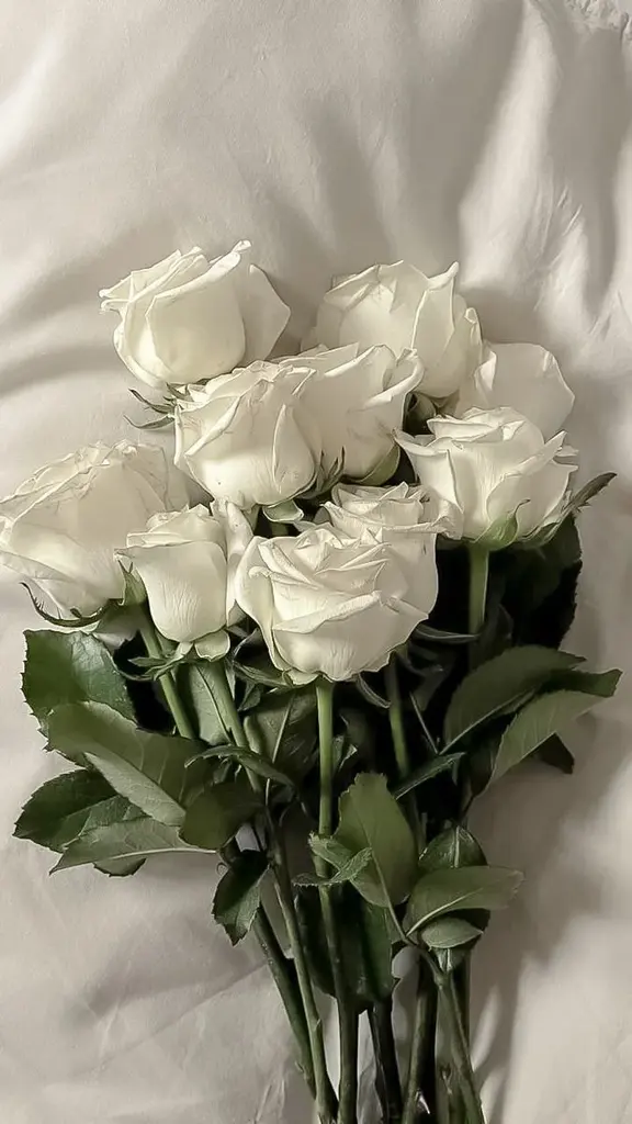 Nisa _ profil fotoğrafı