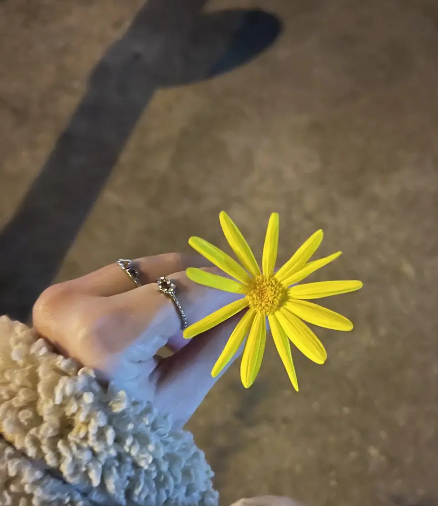 Esen Karasu profil fotoğrafı