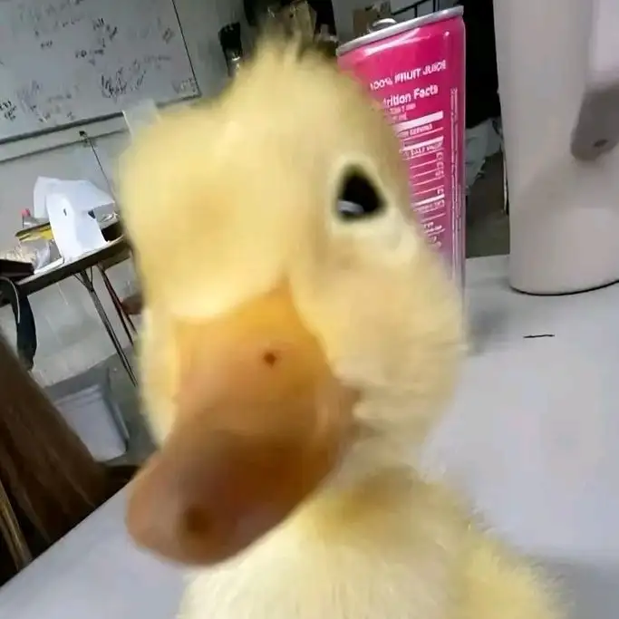" E " profil fotoğrafı