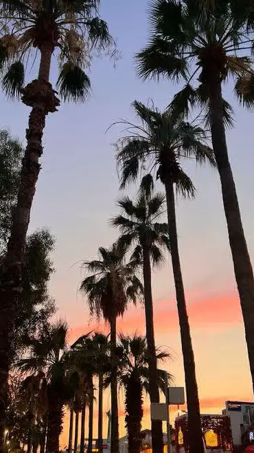 Yaz_ rüyası ☀️🪐 profil fotoğrafı