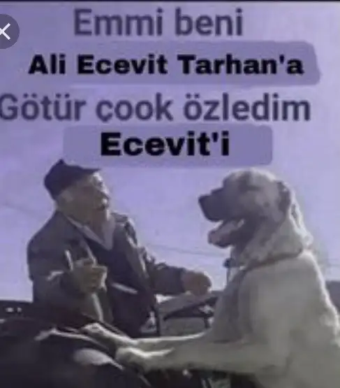 Yağmur Oğuz profil fotoğrafı