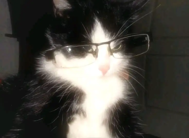 ♡ ♡ profil fotoğrafı
