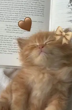 İlkim nehir Gör profil fotoğrafı