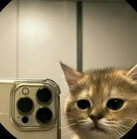 Bilal Can profil fotoğrafı