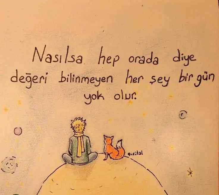 Melis profil fotoğrafı