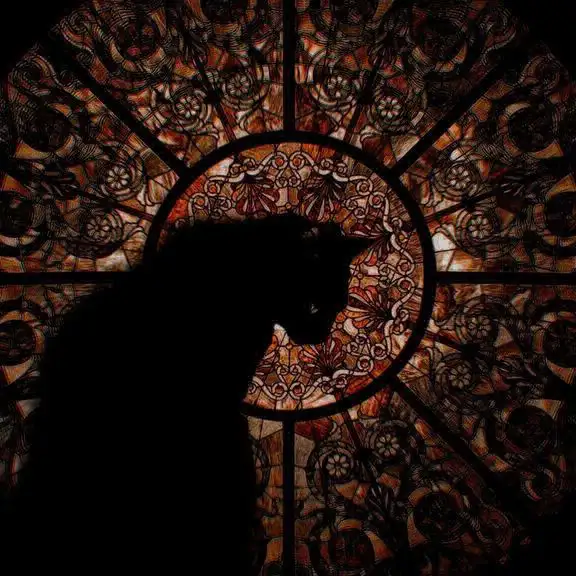 Ezel Eryy profil fotoğrafı