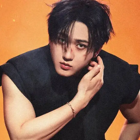 ݁ ˖Ი𐑼⋆ Changbin'in öz anası profil fotoğrafı