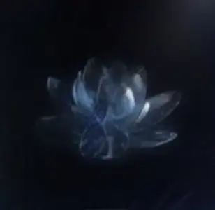 Xxöyk7xX 🖤🩵 profil fotoğrafı