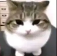 Se - Bastian profil fotoğrafı