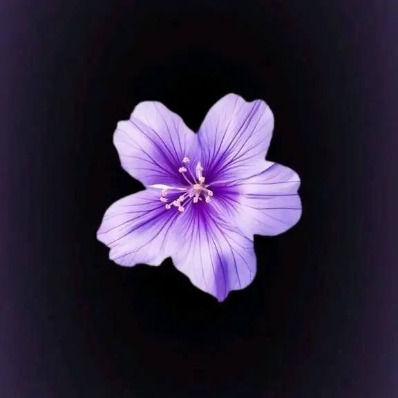 Eslem 💫💜 profil fotoğrafı