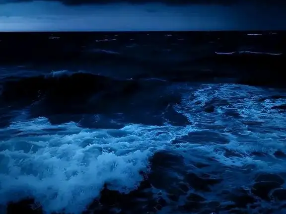Elif 🌊☄️ profil fotoğrafı
