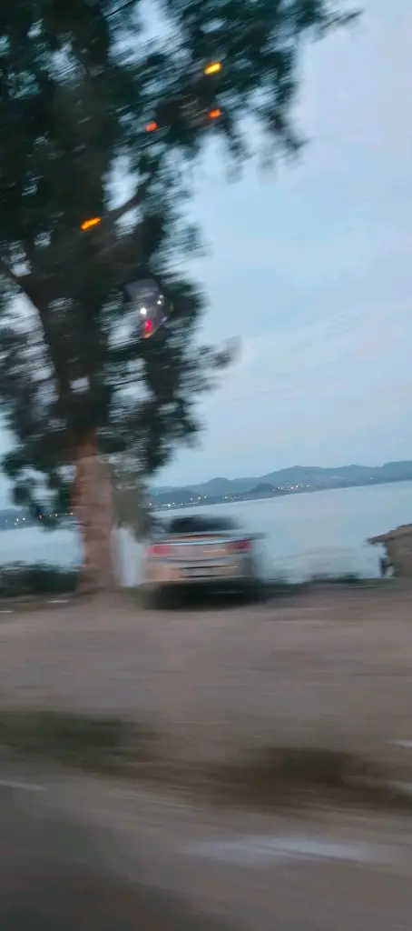 Cemile profil fotoğrafı