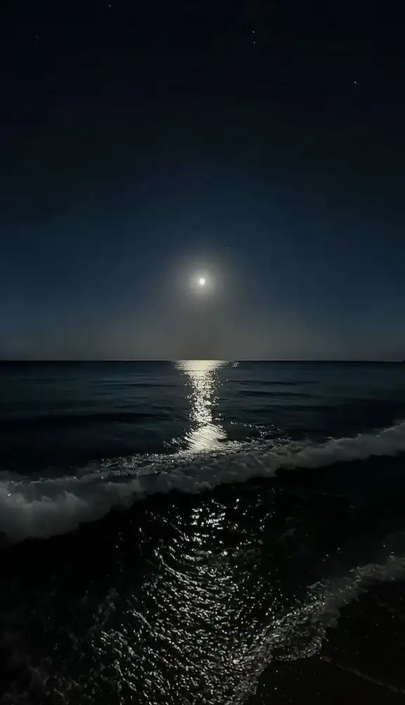 Ela Yıldırım profil fotoğrafı