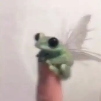 Yesilimm . profil fotoğrafı
