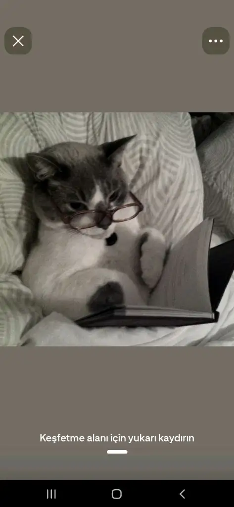 Kitap Kurdu profil fotoğrafı