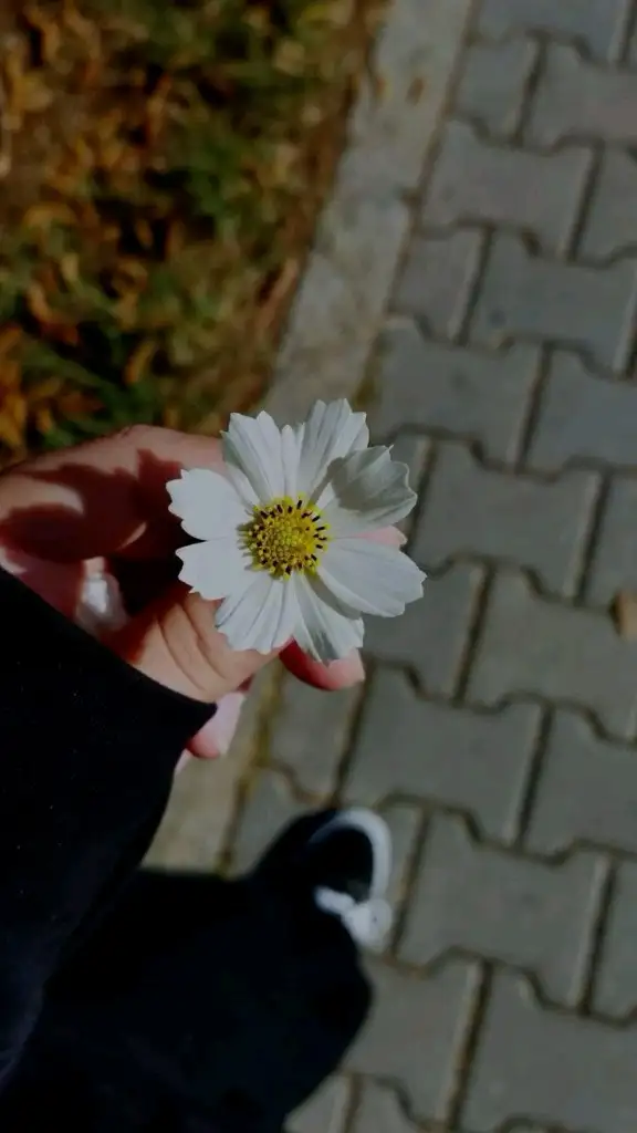 Elif Nergiz profil fotoğrafı