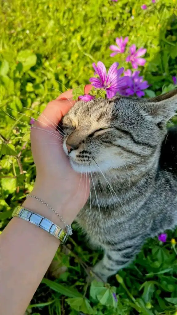 Kumsalcikk profil fotoğrafı