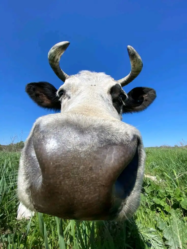 Efsnrr . profil fotoğrafı