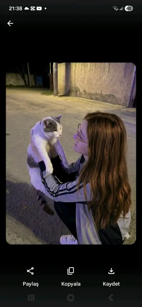 Nemnokrıkut 🪩 profil fotoğrafı