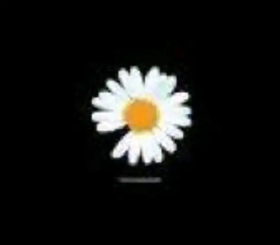 Meryem Güçtimur profil fotoğrafı