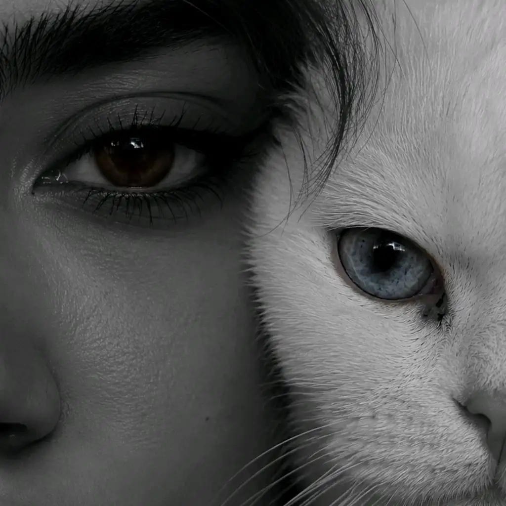 Buse K profil fotoğrafı