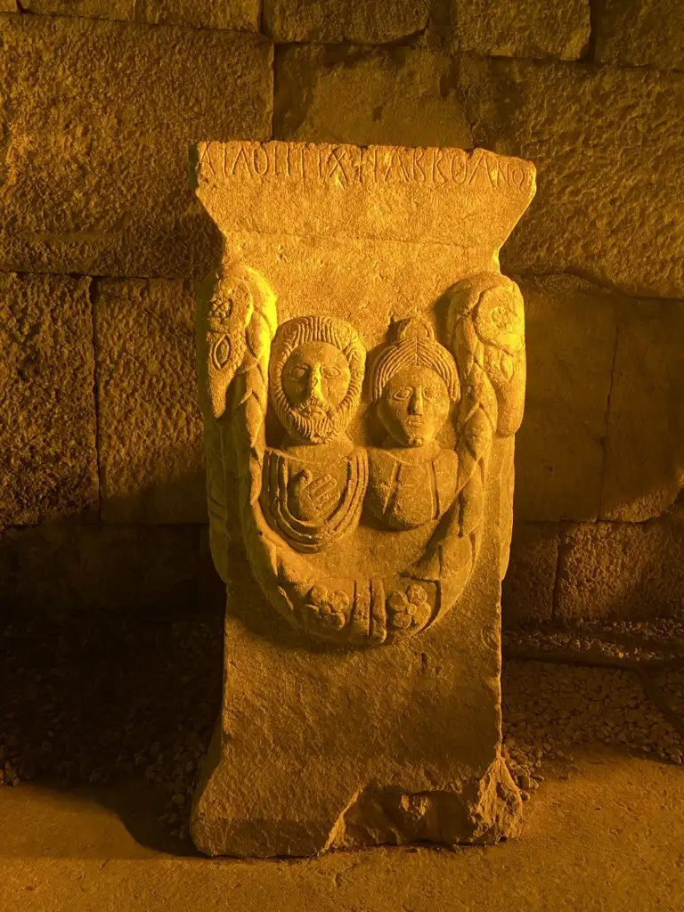 Elif Nel profil fotoğrafı