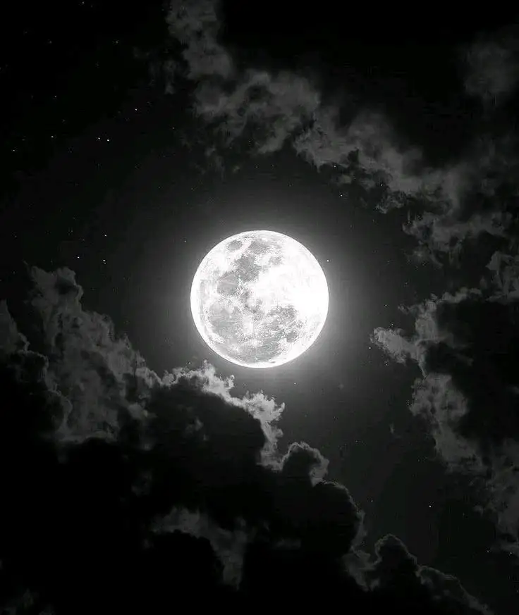 Moonlit~ Books profil fotoğrafı