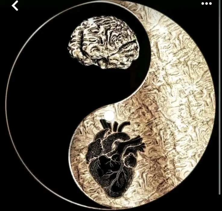 Nazlıcan Ekşi profil fotoğrafı
