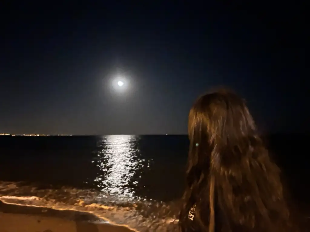 Vaveyla Kullanıcısı profil fotoğrafı