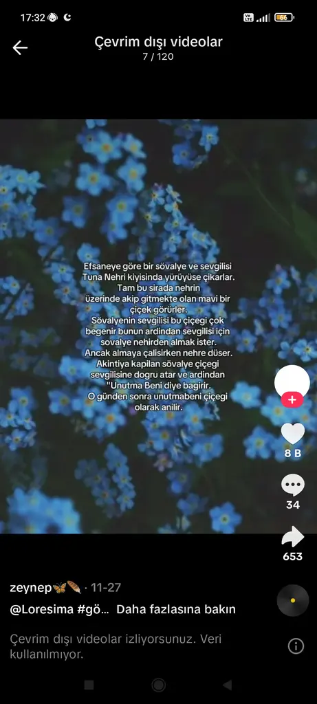 Sevim Ulocak profil fotoğrafı