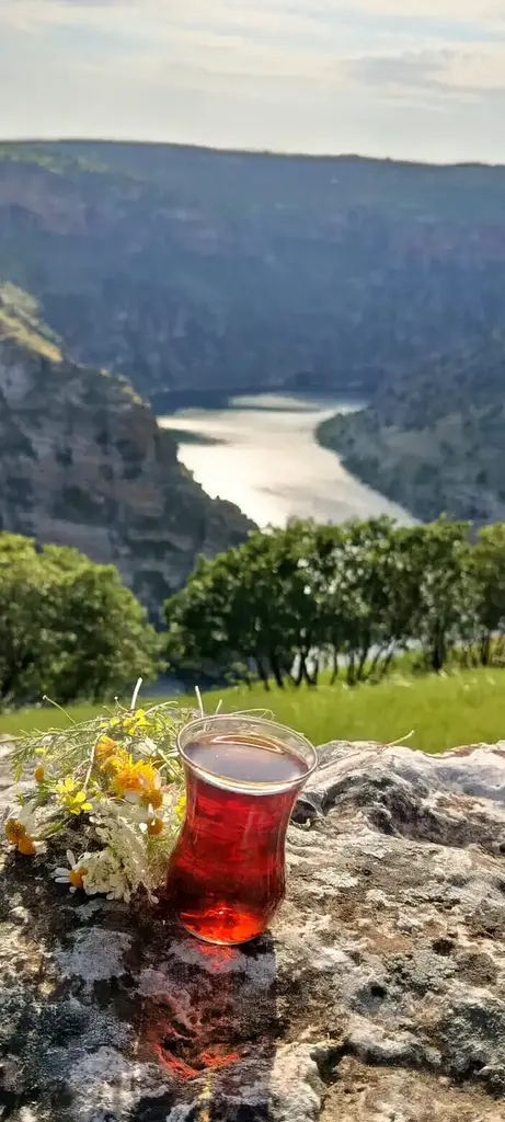 Rüveyda Yy💕 profil fotoğrafı